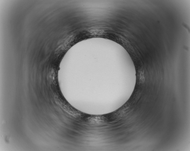 X0000101140567200807251028