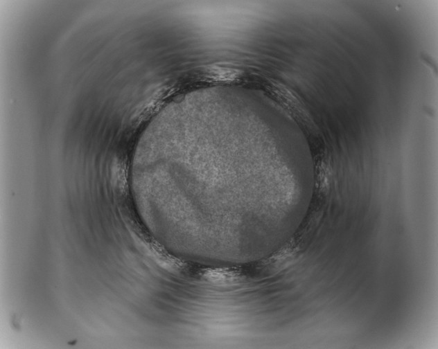 X0000101140568200807251028