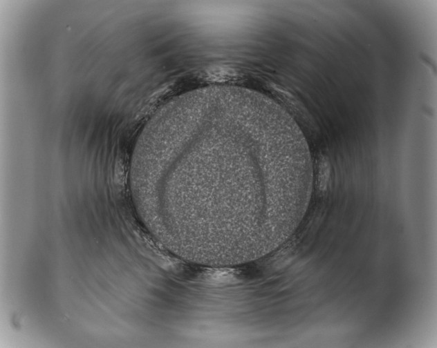 X0000101140569200807251028