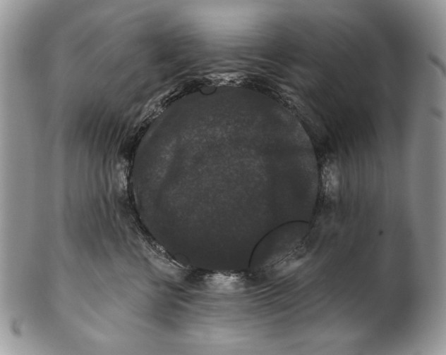 X0000101140570200807251028