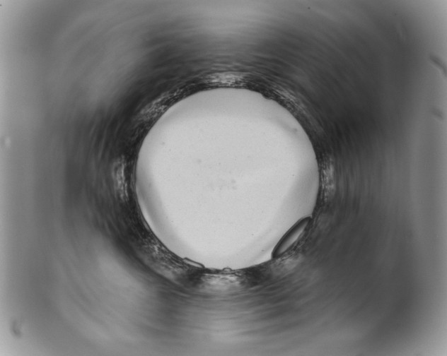 X0000101140572200807251028