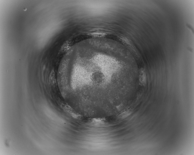 X0000101140573200807251028