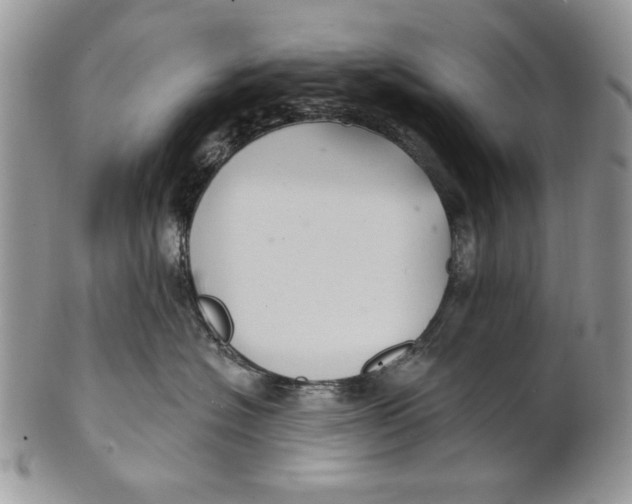 X0000101140574200807251028