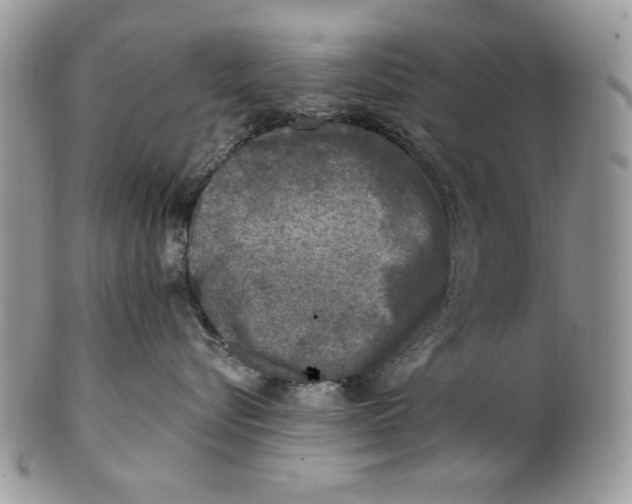 X0000101140576200807251028