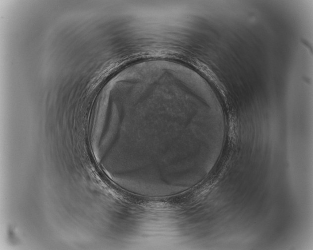 X0000101140577200807251028