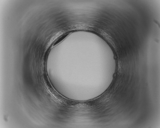 X0000101140578200807251028