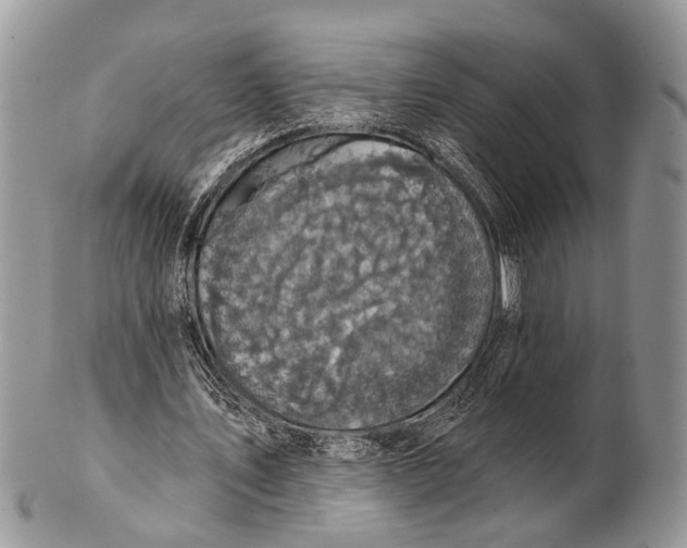 X0000101140579200807251028