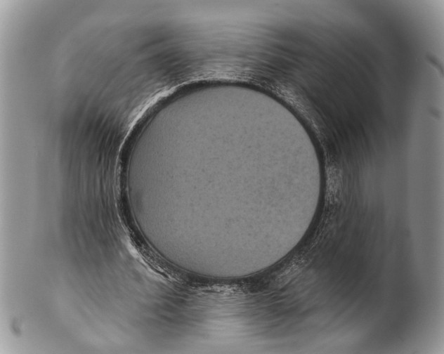 X0000101140580200807251028