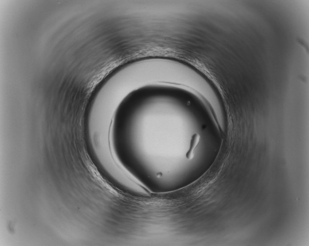 X0000101140581200807251028