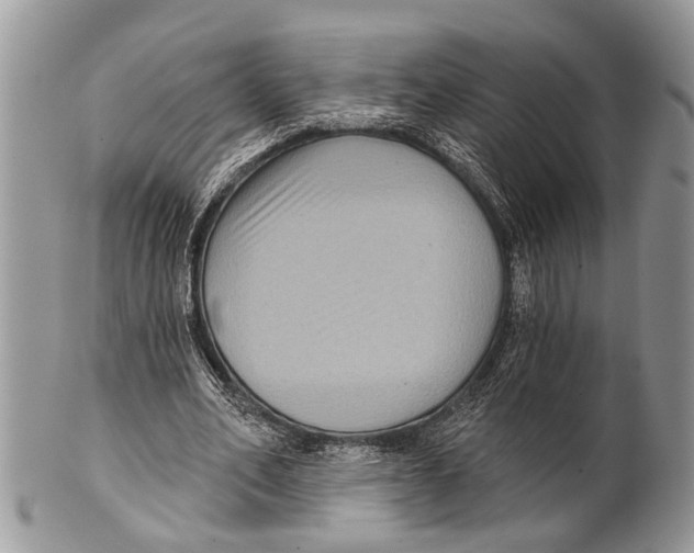 X0000101140582200807251028