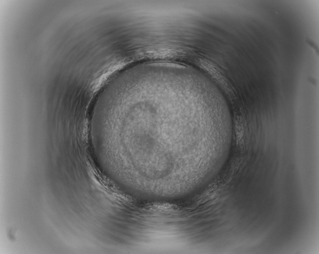 X0000101140583200807251028