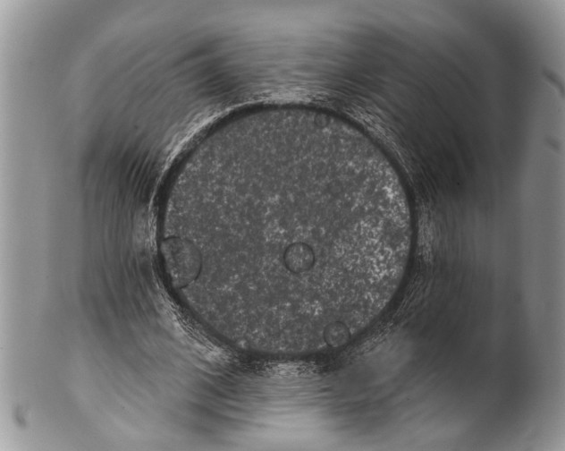 X0000101140584200807251028