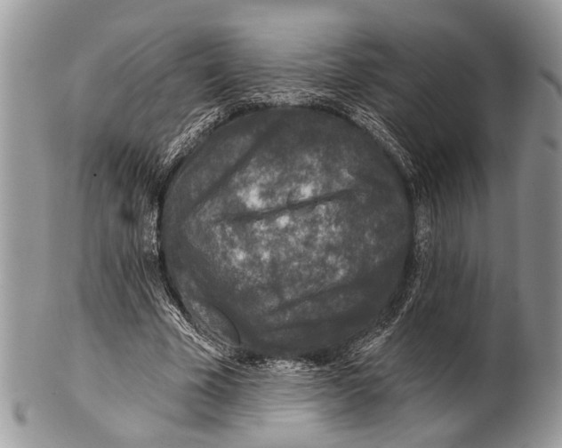 X0000101140585200807251028