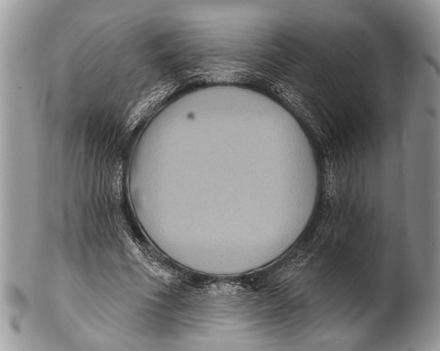 X0000101140586200807251028