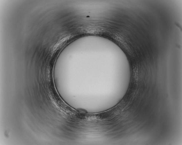 X0000101140587200807251028