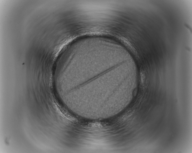 X0000101140588200807251028