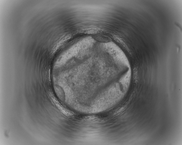 X0000101140589200807251028