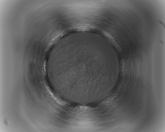 X0000101140590200807251027