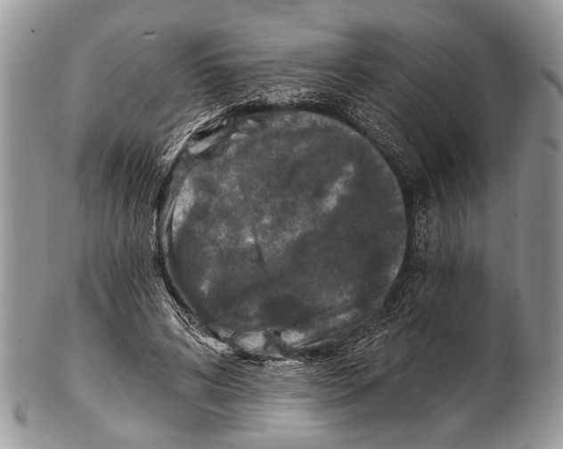 X0000101140592200807251027