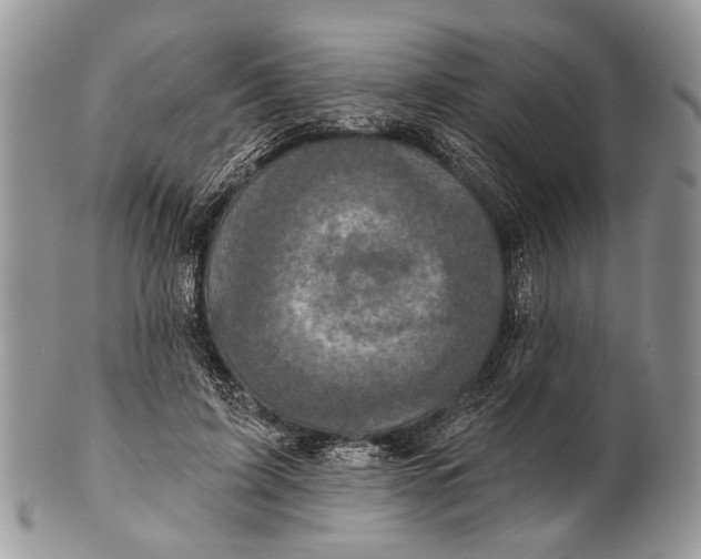 X0000101140595200807251027