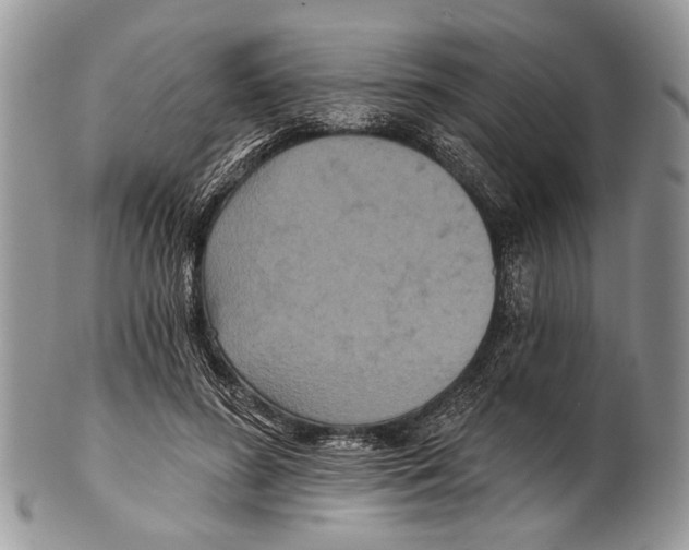 X0000101140596200807251027