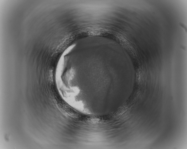 X0000101140598200807251027