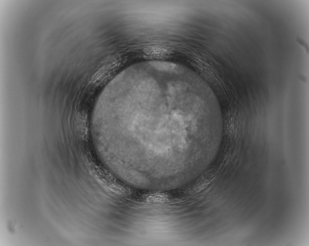 X0000101140599200807251027