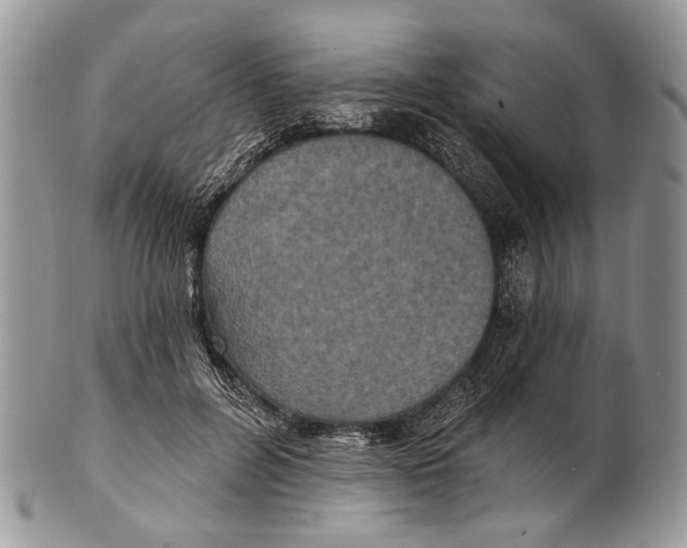 X0000101140600200807251027