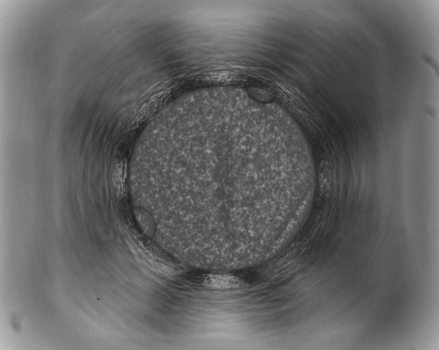 X0000101140605200807251027