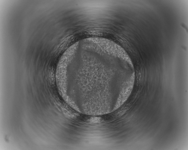 X0000101140609200807251027