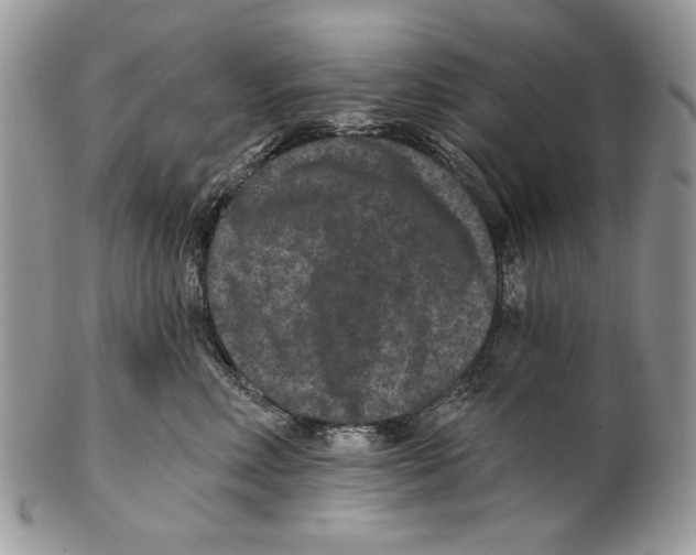 X0000101140618200807251027