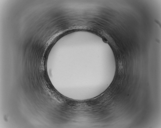 X0000101140628200807251026