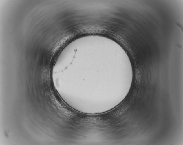 X0000101140629200807251026