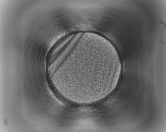 X0000101140630200807251026