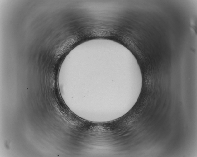 X0000101140635200807251026