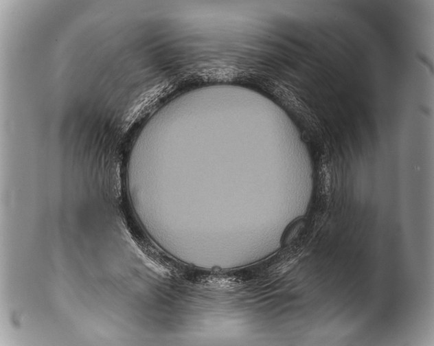 X0000101140638200807251027