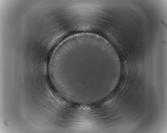 X0000101140640200807251027