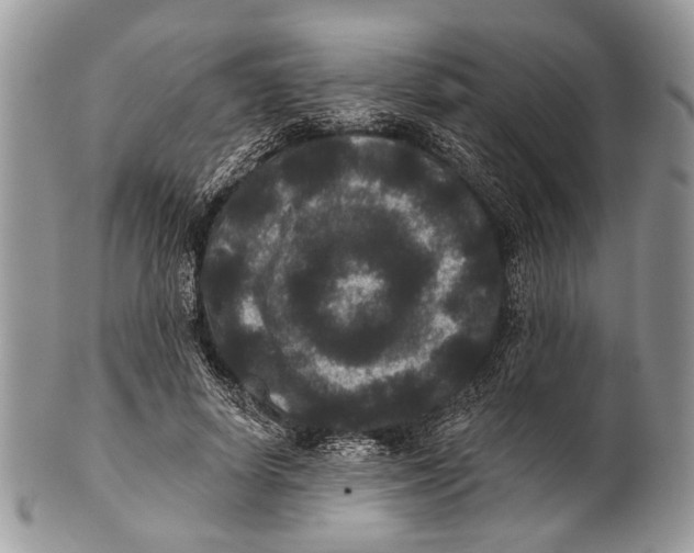 X0000101140642200807251027