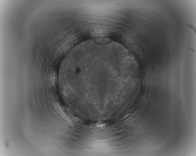 X0000101140647200807251027