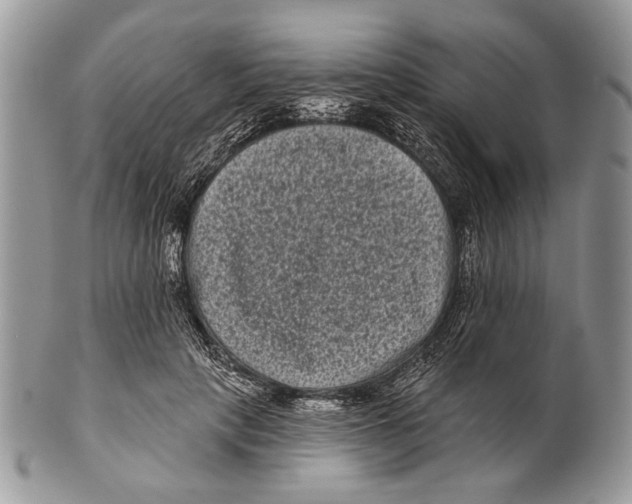 X0000101140649200807251027