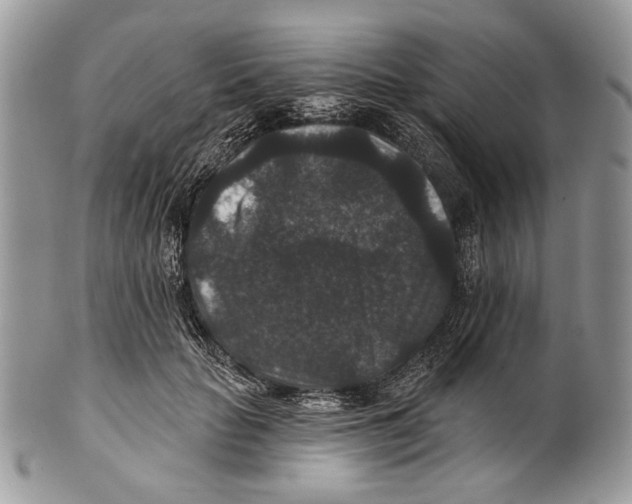 X0000101140653200807251027