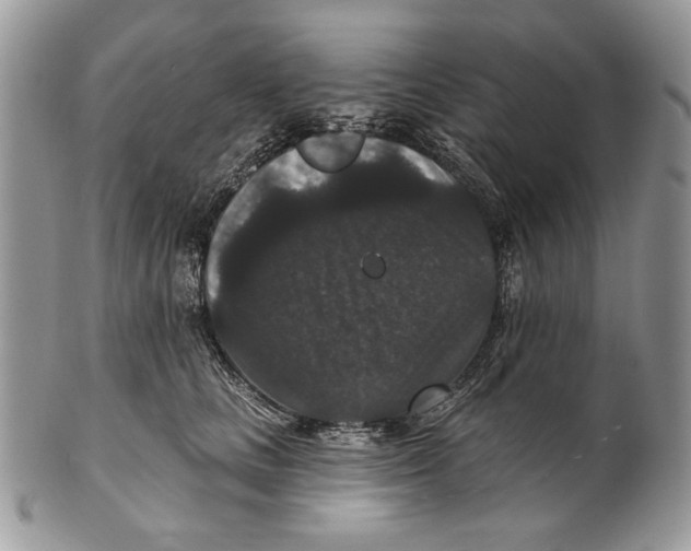 X0000101140661200807251027