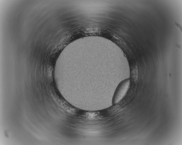 X0000101140662200807251027