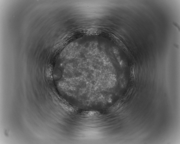 X0000101140663200807251027