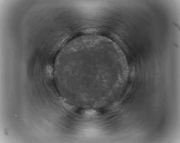 X0000101140669200807251027