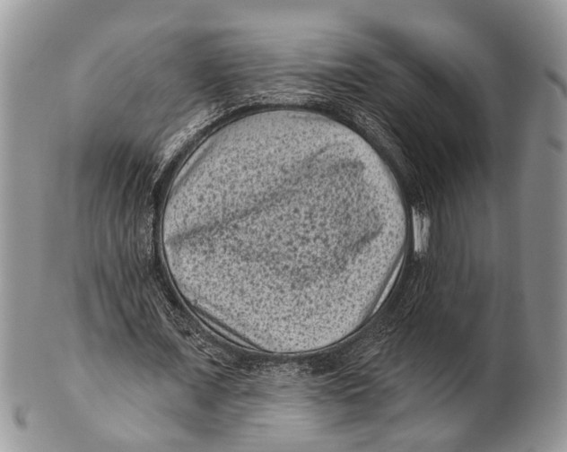 X0000101140675200807251026