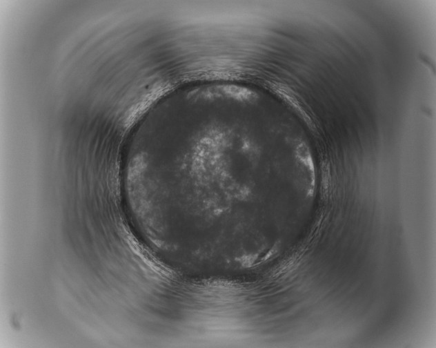 X0000101140677200807251026