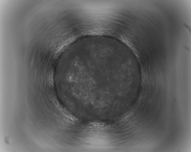 X0000101140681200807251026