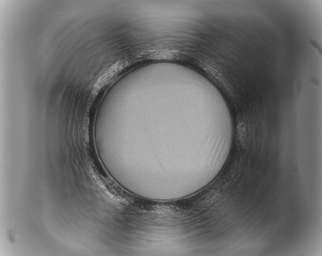 X0000101140682200807251026