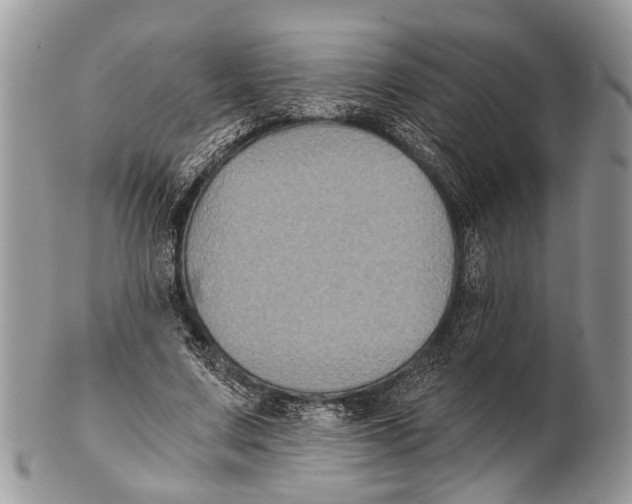 X0000101140683200807251026